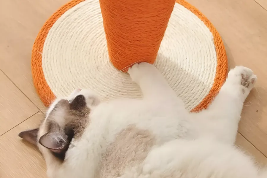 Carrot Shaped Cat Scratching Post